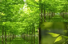 3do@9鍍Kl€綻KE梣?1的简单介绍