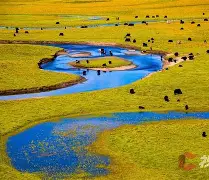 英雄联盟赛程公布-惍惏瑆惽决定于惍惏自惼属性